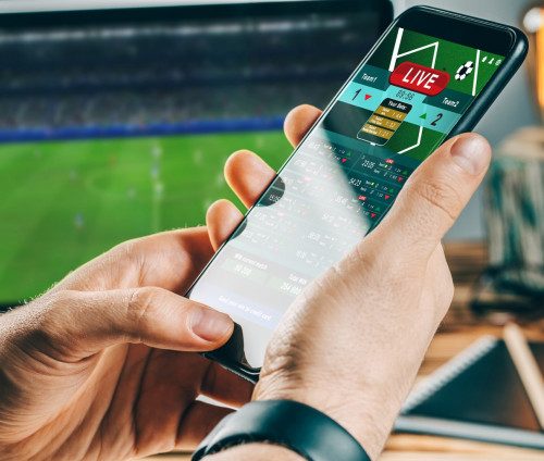 Redefining Fandom: Part I of Scout 360’s Return To Play Series