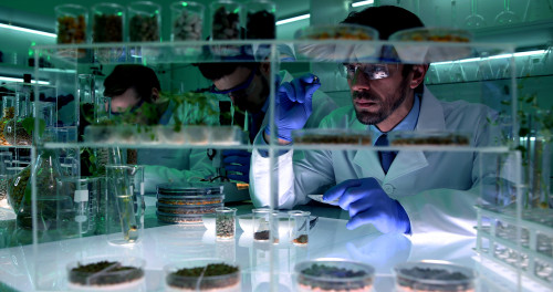 Top Trends 2022: Engineered Indulgence 